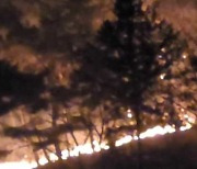 [특보] 충남 홍성·대전·금산 ‘산불 3단계’…야간 진화 중