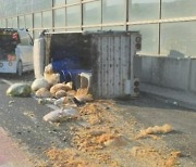 음식물 쓰레기로 초토화된 고속도로…"수거 차량 넘어져"