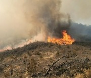 쓰레기 태우다가 불났다…고창 야산서 산불로 2명 경상 [종합]