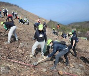 유한킴벌리, '우리강산 푸르게 푸르게 신혼부부 나무심기' 행사 진행[경향포토]