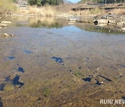 [쿠키포토]깨끗한 물은 어디에?...광동댐 하류 오염도 높아져