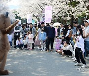 과천 렛츠런파크에서 한국마사회 벚꽃축제 한창 [포토뉴스]