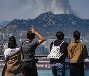 [포토] 주말 도심 화들짝, 서울 인왕산서 불