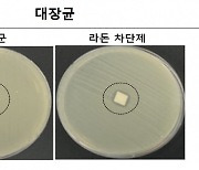 “1급 발암물질 라돈 90% 제거”…원자력硏, 라돈 차단제 상용화 성공