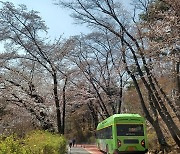 남산공원 주말 맞춤버스 8001번 신설…8일부터 운행
