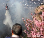 [속보]서울 인왕산 산불, 소방 대응 2단계→1단계 하향