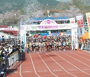 4년만에 열린 합천벚꽃마라톤대회, 전국 마라토너 역대 최다 참가