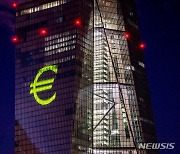 ECB 부총재 "유럽 금융부문에 광범위한 리스크" 경고