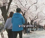 [영상구성] 활짝 핀 여의도 벚꽃 산책인파 장사진