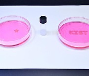 "독성 위험 경화과정 없앤 인공장기용 바이오잉크 개발"