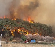 [영상]충남 홍성 산불 피해 늘어…보령·당진·금산서도 '산불 2단계'