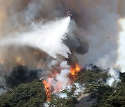 서울 한복판 인왕산에 산불... 인근 120가구 대피