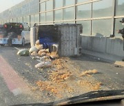 '음식물 쓰레기' 차 넘어져 고속도로 '초토화'···"도로 통제"