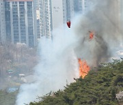 축구장 20개 면적 태운 인왕산 큰불···인근 주민 긴급대피