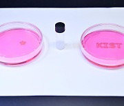 KIST "독성 위험 경화과정 없앤 인공장기용 바이오잉크 개발"
