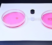 KIST, 경화 과정 없앤 인공장기용 바이오잉크 개발