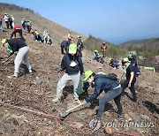 유한킴벌리, 동해 산불 지역서 '신혼부부 나무 심기' 행사 개최