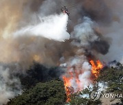 [속보] 인왕산 산불 불길 잡혀…대응 1단계로 하향