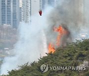 서울 도심 인왕산에 산불