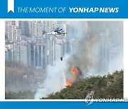 [모멘트] 서울 도심 인왕산에 산불
