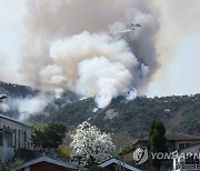 산불 발생한 서울 도심의 인왕산