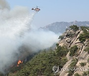 산불 발생한 서울 도심의 인왕산