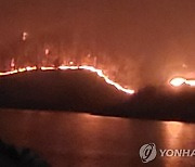 충북 옥천 야산서 불…산림당국 "1단계 발령"(종합)