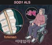 ‘렐리브리오→토퍼센’ 루게릭병 신약 또 나오나..‘코아스템켐온’도 기대감 쑥쑥