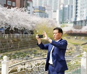 [포토] 성복천 벚꽃축제 점검