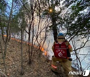 날 넘기는 전남 산불…함평 화재 '산불 3단계' 격상