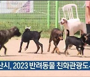 울산시, 2023 반려동물 친화관광도시 선정