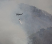 [여적] 축구장 면적