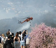 120 households evacuated during wildfire on Seoul's Mount Inwang