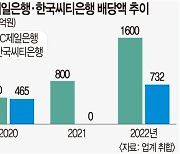 규제 강화 전 미리미리… 외국계 은행들 ‘배당 파티’