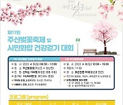 제17회 보령 주산 벚꽃축제 8일 열려…다채로운 행사