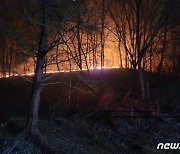 ‘당진 산불’ 47시간 만에 완진…성묘객 담배꽁초 원인 추정(종합)