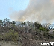 이천 마장면 야산서 불…1시간40분 만에 주불 잡아(종합)