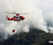 '축구장 892개' 산림 태우고…함평·순천 대형산불 진화(종합)