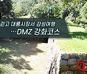 [하루만보]철책길 걷고 대룡시장서 감성여행…DMZ 강화코스