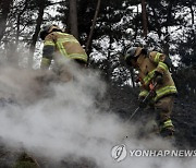 [사설] 홍성·대전 산불은 재난, 정부 지원 아끼지 말길