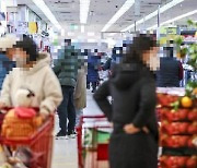 문제된 주키니호박, 8년전부터 국내유통…“검역절차 작동 안돼”