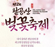 대구 동구, 제12회 팔공산 벚꽃축제 개최