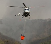 “복분자 공장까지 다 태워”…전남 함평·순천 산불, 밤새 확산