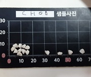 식약처, ‘맥심 모카골드 마일드’에 이물질 확인…행정처분 요청