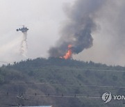 충남·대전 산불 진화 단계...김태흠·이장우 "중앙정부가 확실히 지원해야"