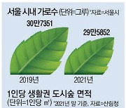 삭막한 서울 … 가로수 2년새 1만그루 줄어