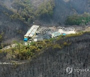 함평·순천 산불 진화…축구장 875개·625ha 산림 훼손