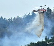 함평·순천 대형산불 잡혔다…축구장 875개 산림 초토화(종합)