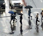 가뭄·건조 속 반가운 단비…전국 산불 억제 도움