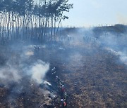 전국 곳곳에 산불…건조·강풍에 진화 난항